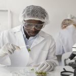 Steinmüller Africa Graduate Opportunities 2026