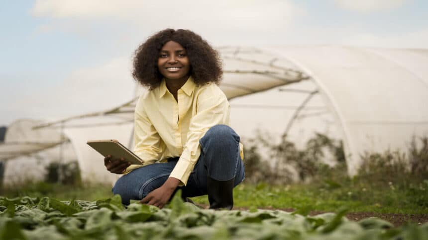 Irrigation Engineering Management Trainee Programme at RCL Foods