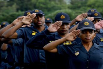 SAPS Internships