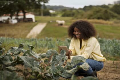 Agriculture Bursary for 2025 at Starke Ayres