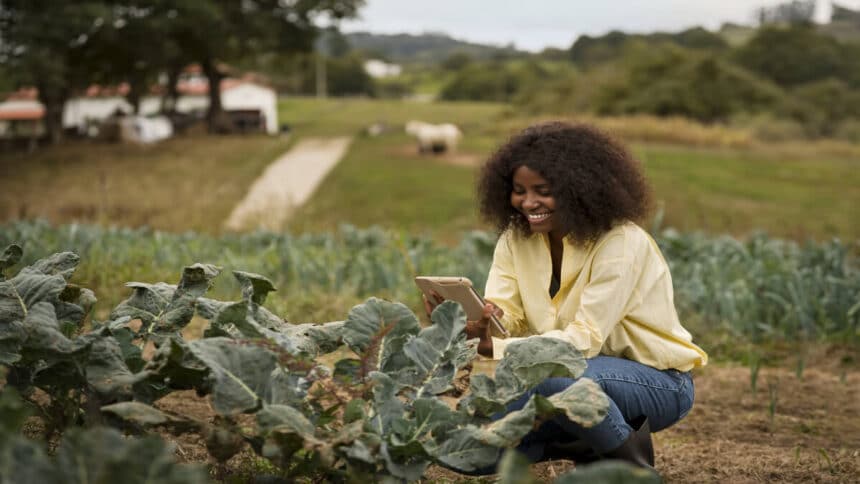 Agriculture Bursary for 2025 at Starke Ayres