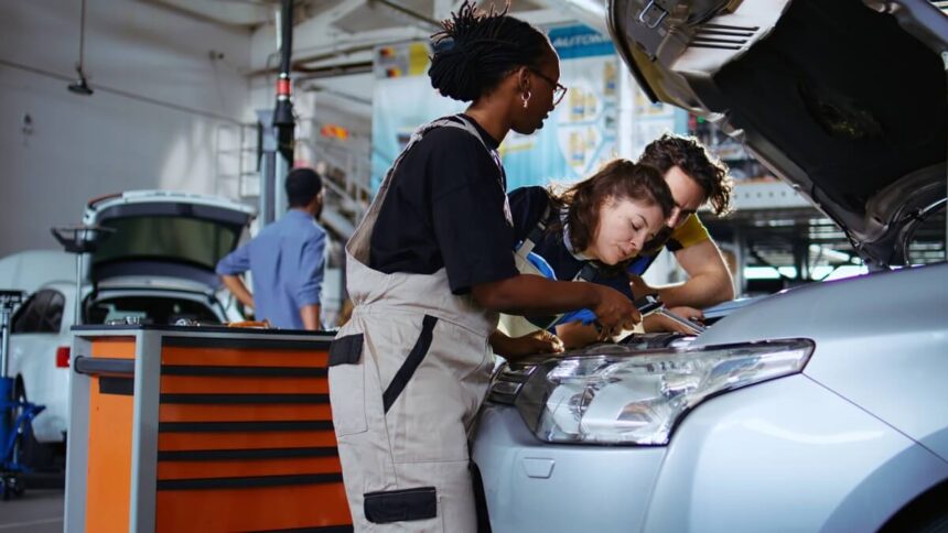 Artisan Assistant Artisan Assistant at Rand Water (Automotive)
