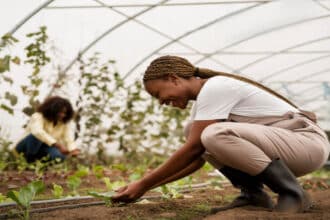 Elsenburg Agricultural Training Institute Bursary 2025