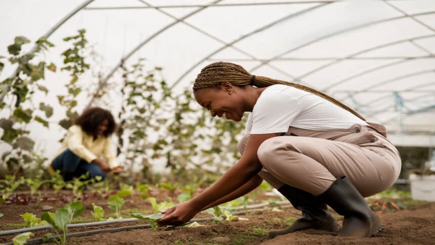 Elsenburg Agricultural Training Institute Bursary 2025