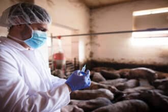 Facility Manager - Animal Science (Elsenburg)