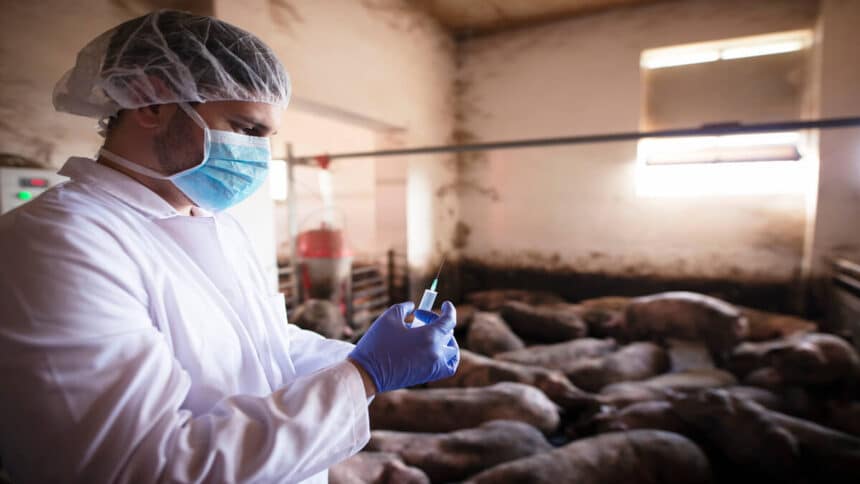 Facility Manager - Animal Science (Elsenburg)