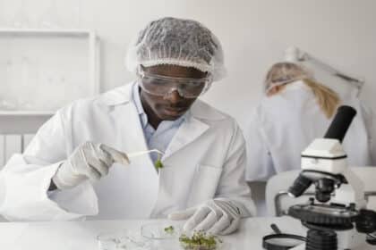 Ezemvelo KZN Wildlife Work Integrated Learning Internships