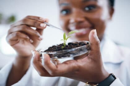 Transnet Young Professional-in-Training (Environmental Science)