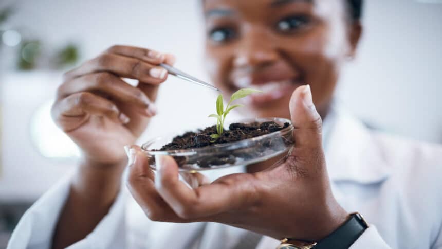 Transnet Young Professional-in-Training (Environmental Science)