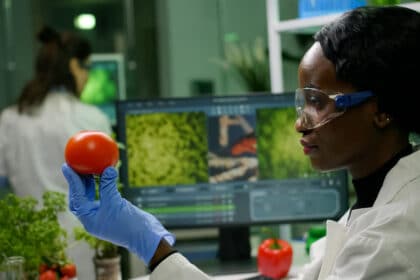 Ferrero Food Technology Internship 2024/2025