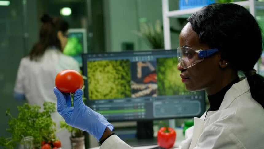 Ferrero Food Technology Internship 2024/2025