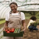 Hortgro Undergraduate Bursary Programme 2025