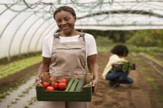 Hortgro Undergraduate Bursary Programme 2025