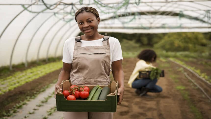Hortgro Undergraduate Bursary Programme 2025