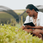 Department of Agriculture Bursary 2025