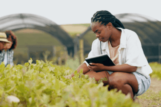 Department of Agriculture Bursary 2025