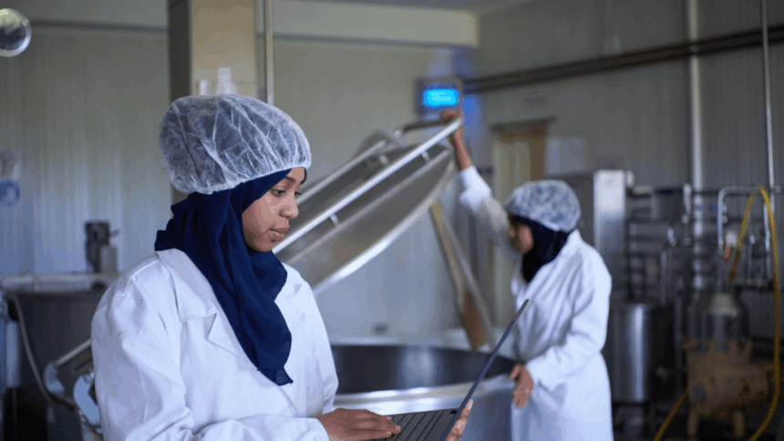 Clover Graduate Development Programme 2025