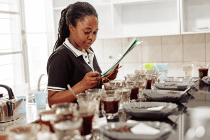 KZN Sharks Board Internship Programme