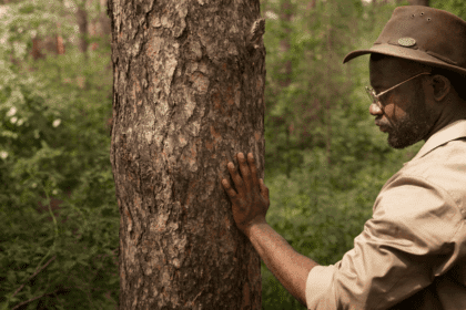 Conservation Development Internship