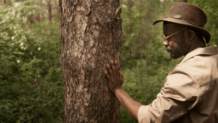 Conservation Development Internship