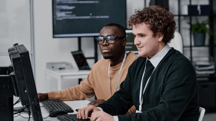 Junior IT Developer Job Opportunity at INSETA