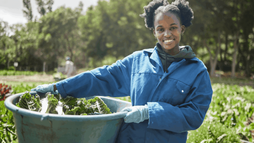 Youth Farming Learnership Opportunity