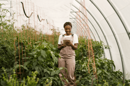 Graduate Trainee: Sustainable Agriculture GreenCape