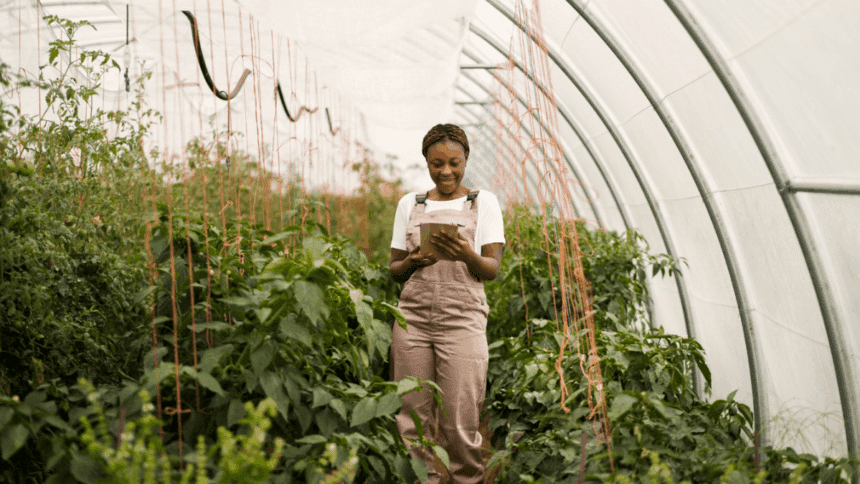 Graduate Trainee: Sustainable Agriculture GreenCape