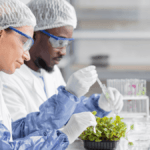 RCL Foods Lab Analyst Internship Programme
