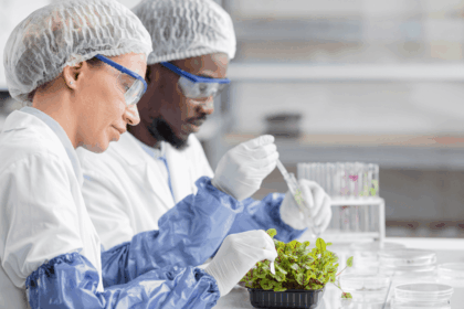 RCL Foods Lab Analyst Internship Programme