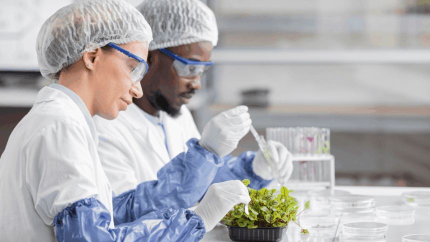 RCL Foods Lab Analyst Internship Programme