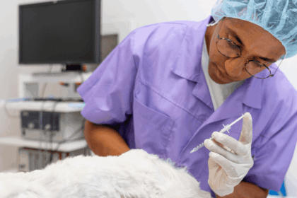 University of Pretoria Internship Programme 2025