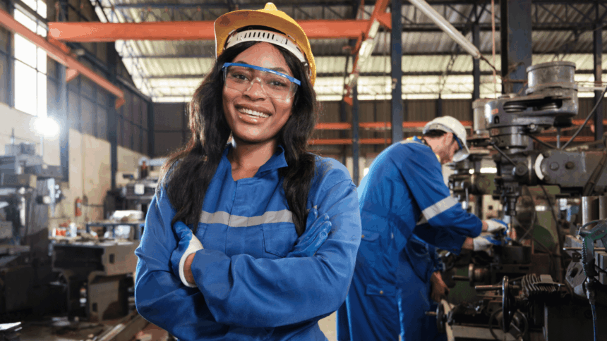 Professional Mechanical Engineer Job Opportunity at the Western Cape Government