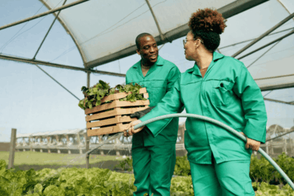 Skills Development in Agriculture