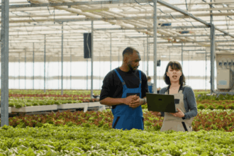 Workshop Assistant Vacancy at TWK Agri