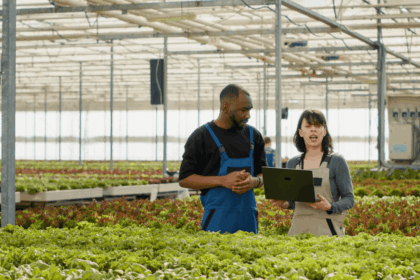 Workshop Assistant Vacancy at TWK Agri