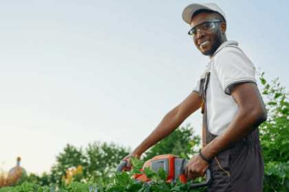 Gardener Vacancy At Thomas More College