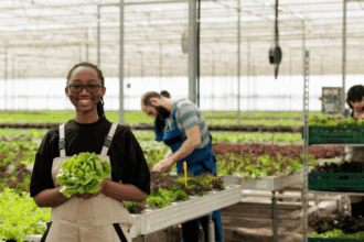 Johannesburg City Parks & Zoo EPWP Opportunities (125 posts)