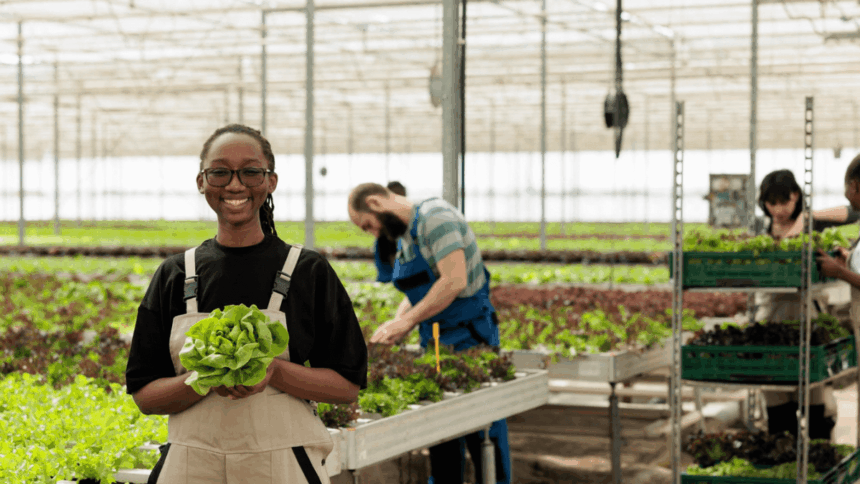 Johannesburg City Parks & Zoo EPWP Opportunities (125 posts)