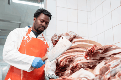 Pick n Pay MasterCut Programme 2025 / 2026