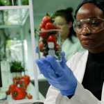 R&D Internship at RCL Foods 2025