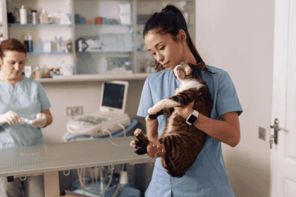 University of Pretoria Internship Programme