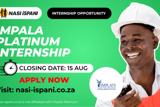 Impala Platinum Graduate Internship Programme