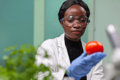 RCL Foods – R&D Internship Programme (2026)