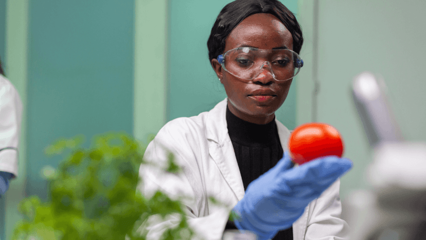 RCL Foods – R&D Internship Programme (2026)
