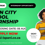 Steyn City School Internship Programme (2026)