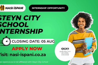 Steyn City School Internship Programme (2026)