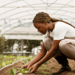 VKB Group Learnership Programme (2026)