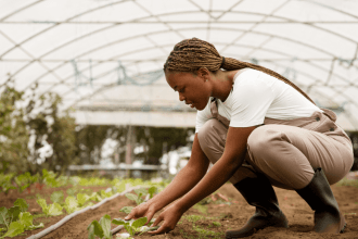 VKB Group Learnership Programme (2026)