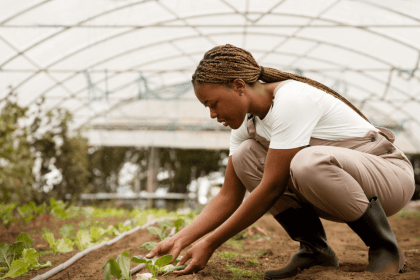 VKB Group Learnership Programme (2026)